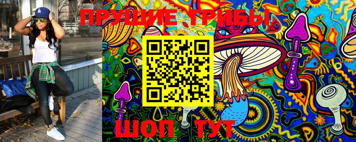 Псилоцибиновые грибы MAGIC MUSHROOMS  Вход с VPN  Гатчина  Псилоцибиновые грибы мухоморы 