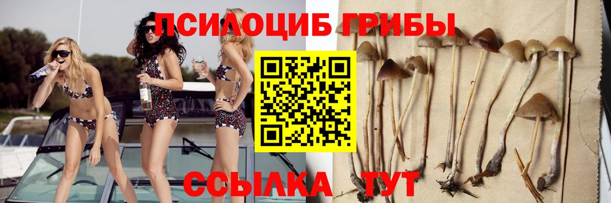 Псилоцибиновые грибы MAGIC MUSHROOMS Гатчина