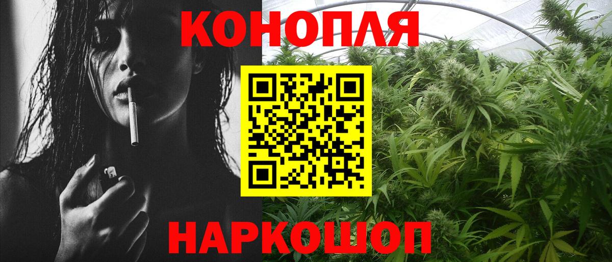 Гатчина  Шишки марихуана план  Бошки Шишки MAZAR  МАРИХУАНА SATIVA & INDICA  Вход с VPN 